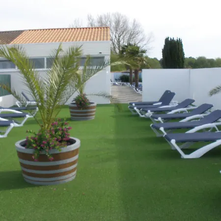 Les Jonquilles Kemp La Tranche-sur-Mer